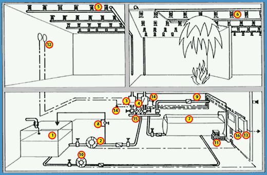 Obrázek 2.4.7 - 1 :Schéma sprinklerů v objektu, firma Shark, spol.s.r.o.